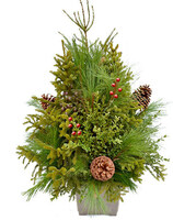 12” Spruce Top Planter, Mixed Greens and Decorations
